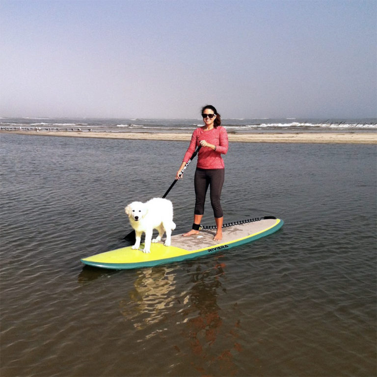 Kayak & Paddle Board Tours St Simons Island & Jekyll Island